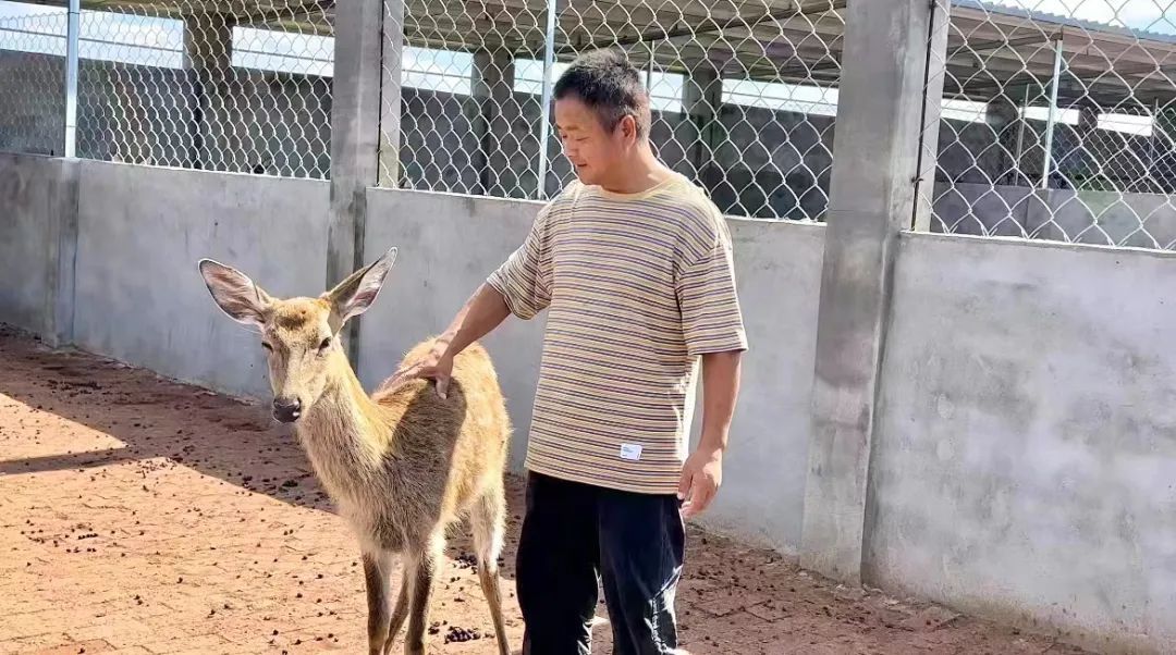 巴黎人网络电脑版